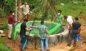 Ấn Độ huy động các chuyên gia ngăn chặn sự lây lan của virus Nipah