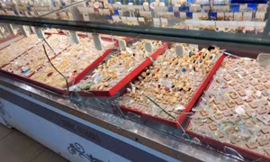Đôi nam nữ cầm súng, búa cướp tiệm vàng