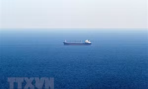 EU kêu gọi thiện chí từ 3 nước láng giềng Ukraine về xuất khẩu ngũ cốc