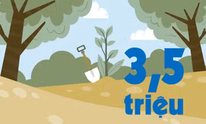 3,5 triệu - là số cây phân tán mà tỉnh Quảng Ninh đã trồng mới từ năm 2017 đến nay