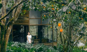 Bật mí địa điểm chụp hình mộng mơ ở Đà Lạt mùa hồng chín