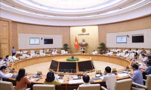 Nghị quyết phiên họp Chính phủ thường kỳ tháng 8 năm 2023