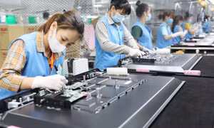 Đẩy mạnh thu hút, phát triển nguồn nhân lực, lao động có kỹ năng nghề đáp ứng nhu cầu lao động trên địa bàn tỉnh