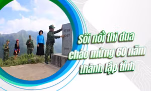 Sôi nổi thi đua chào mừng 60 năm thành lập tỉnh 