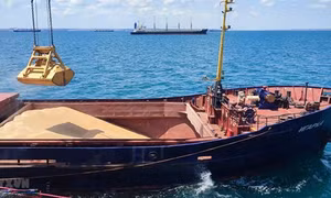 Liên hợp quốc nỗ lực khôi phục Thỏa thuận Ngũ cốc Biển Đen