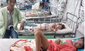 Quảng Nam: Bốn mẹ con bị đàn ong vò vẽ đốt phải nhập viện 