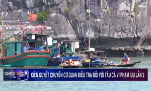 Kiên quyết chuyển cơ quan điều tra đối với tàu cá vi phạm IUU lần 2