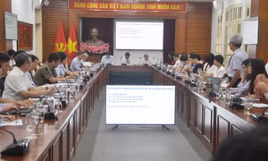 Tham vấn ý kiến hồ sơ Quần thể di tích và danh thắng Yên Tử - Vĩnh Nghiêm - Côn Sơn, Kiếp Bạc trình UNESCO công nhận là Di sản thế giới