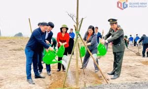 Phó Bí thư Thường trực Tỉnh uỷ, Chủ tịch HĐND tỉnh Trịnh Thị Minh Thanh dự lễ phát động Tết trồng cây tại phường Cửa Ông