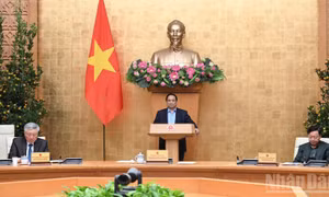 Phấn đấu triển khai hiệu quả các mục tiêu năm 2026 ngay từ ngày đầu, tháng đầu năm mới