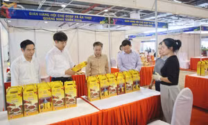 Lãnh đạo tỉnh kiểm tra công tác tổ chức Hội chợ OCOP và ẩm thực Quảng Ninh Xuân 2026