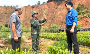 “Gieo mầm” ấm no nơi biên cương