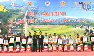 Mùa xuân ấm áp nơi phên giậu Tổ quốc