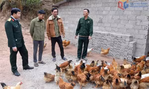 Hội CCB xã Tiên Yên: Phát huy nội lực để giảm nghèo bền vững