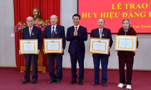 Nhiều hoạt động chào mừng kỷ niệm 96 năm Ngày thành lập Đảng