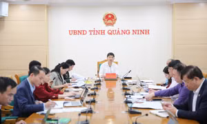 UBND tỉnh cho ý kiến đối với dự thảo Đề án thực hiện Chương trình mục tiêu quốc gia giai đoạn 2026-2030