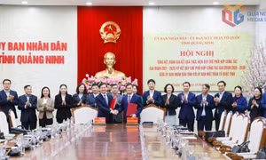 Thành công từ sự phối hợp đồng bộ, hiệu quả