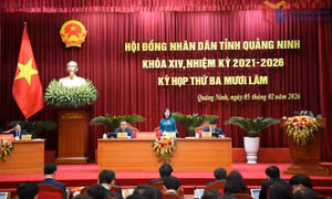 Bản tin Quảng Ninh ngày 5/2/2026