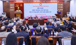 Công bố danh sách chính thức những người ứng cử đại biểu Quốc hội khóa XVI
