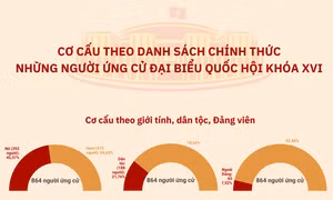 Cơ cấu theo danh sách chính thức những người ứng cử đại biểu Quốc hội khóa XVI