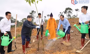 Tỉnh Quảng Ninh phát động phong trào "Tết trồng cây đời đời nhớ ơn Bác Hồ" Xuân Bính Ngọ 2026