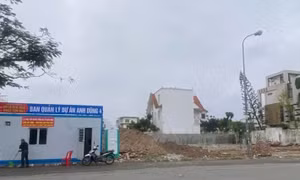Truy nã người phụ nữ Hải Phòng chủ mưu cho vay lãi nặng hàng trăm tỉ đồng