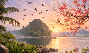 Núi Tổ Chim - Thơ Nguyễn Quang Vinh