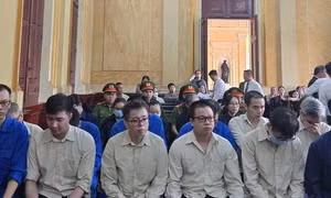 Tuyên 7 năm tù cựu Chi cục trưởng Chi cục Thú y vùng VI nhận hối lộ 1,2 tỉ đồng