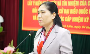 Bình Liêu: Hoàn thành việc lấy ý kiến của cử tri nơi cư trú đối với người ứng cử đại biểu Quốc hội khóa XVI và đại biểu HĐND các cấp