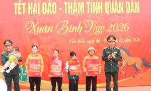 Nhiều hoạt động chăm lo Tết cho người có hoàn cảnh khó khăn