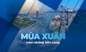 Mùa xuân trên những bến cảng