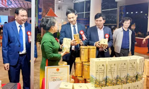 Khai mạc Hội chợ OCOP Quảng Ninh - Xuân 2026
