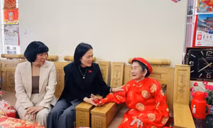 Đại biểu Quốc hội thăm, tặng quà Tết tại một số địa phương