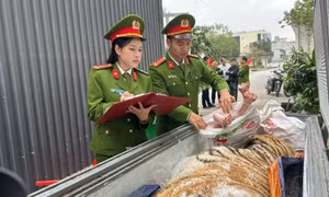 Triệt phá đường dây mua bán hổ nấu cao, giao dịch gần 2 tỉ đồng