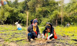 HĐND tỉnh Quảng Ninh: Cầu nối vững chắc giữa ý Đảng và lòng dân