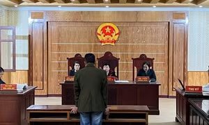 Xét xử tài xế không bằng lái, vượt ẩu gây chết người ở Hải Phòng