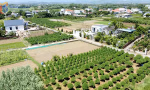 Hội Nông dân Quảng Hà: Đồng hành cùng nông dân phát triển sản xuất