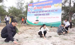 Chung tay giữ màu xanh đất mỏ