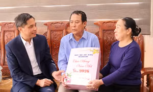 Phó Chủ tịch Thường trực UBND tỉnh thăm, tặng quà Tết cho người có công với cách mạng