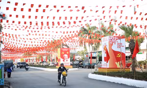 Rực rỡ sắc xuân trên khắp nẻo đường