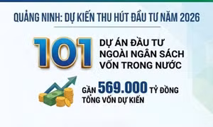 101 - là số dự án đầu tư ngoài ngân sách vốn trong nước mà Quảng Ninh dự kiến thu hút trong năm 2026