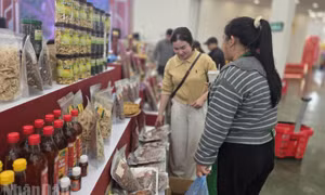 Nguồn cung dồi dào, giá cả ổn định, không xảy ra khan hàng trong ngày mùng 3 Tết