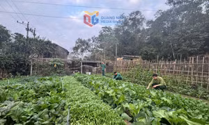 Đồn Biên phòng Bắc Sơn chủ động nguồn lực tại chỗ