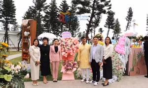 Ba đám cưới tỷ phú Ấn Độ được tổ chức tại Quảng Ninh