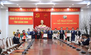 Đảng ủy UBND tỉnh trao Huy hiệu Đảng đợt 3/2/2026