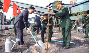 Công ty Tuyển than Cửa Ông phát động “Tết trồng cây đời đời nhớ ơn Bác Hồ” Xuân Bính Ngọ 2026