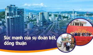 Sức mạnh của sự đoàn kết, đồng thuận