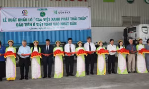 Giữ vững nhịp xuất khẩu gạo bằng chiến lược chất lượng cao