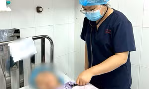 Ăn cá mú đỏ, 4 người cùng nhà ở TP.HCM bị ngộ độc nặng
