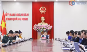 Chủ tịch UBND tỉnh Bùi Văn Khắng cho ý kiến đối với các đề án về Di sản thế giới và Carnaval Hạ Long 2026